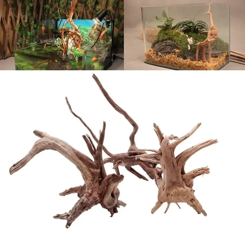 Aquarium Planted Tree - ต้นไม้ธรรมชาติลำต้นไม้ดริฟท์วู้ดตู้ปลาตู้ปลาตู้ปลาตู้ปลาตู้ปลาที่รากกระบอกพืชไม้เครื่องประดับตกแต่งสำหรับพืชในตู้ปลา