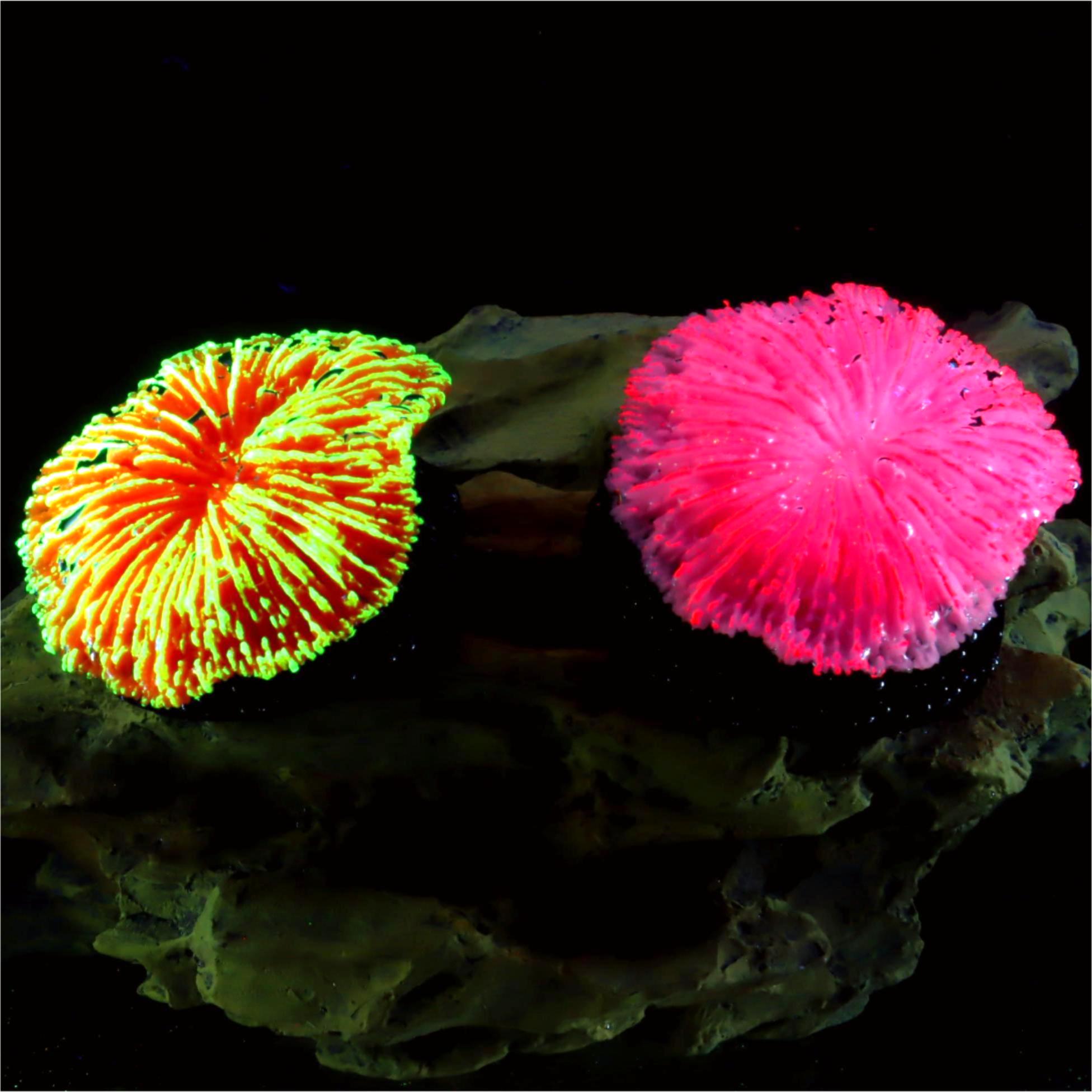 Aquarium Planet - 1 ชิ้น ของตกแต่งตู้ปลา ปะการังเล็กเรืองแสง สำหรับจัดแต่งตู้ปลา