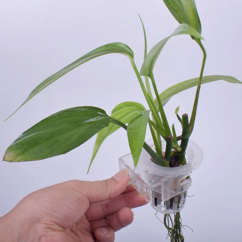 Aquarium Planet - พืชน้ําแขวนผู้ถือปรับถังปลาชาวไร่ถ้วยพร้อม Aquarium Planter ถ้วยสําหรับ Aquascape ตกแต่ง