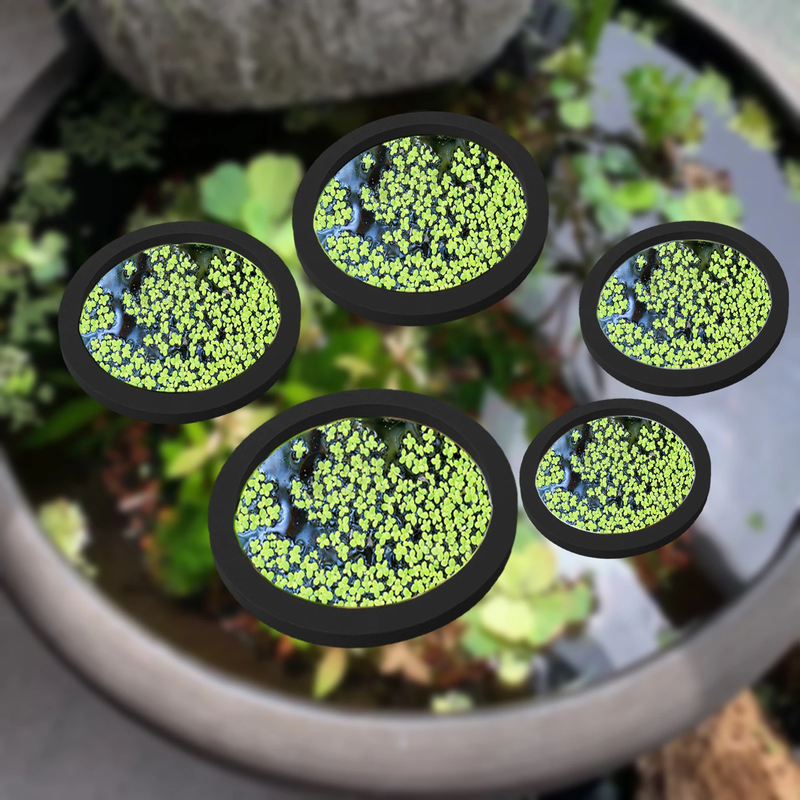 Aquarium Plant - 5 ชิ้น EVA ปลา Feeding แหวน
