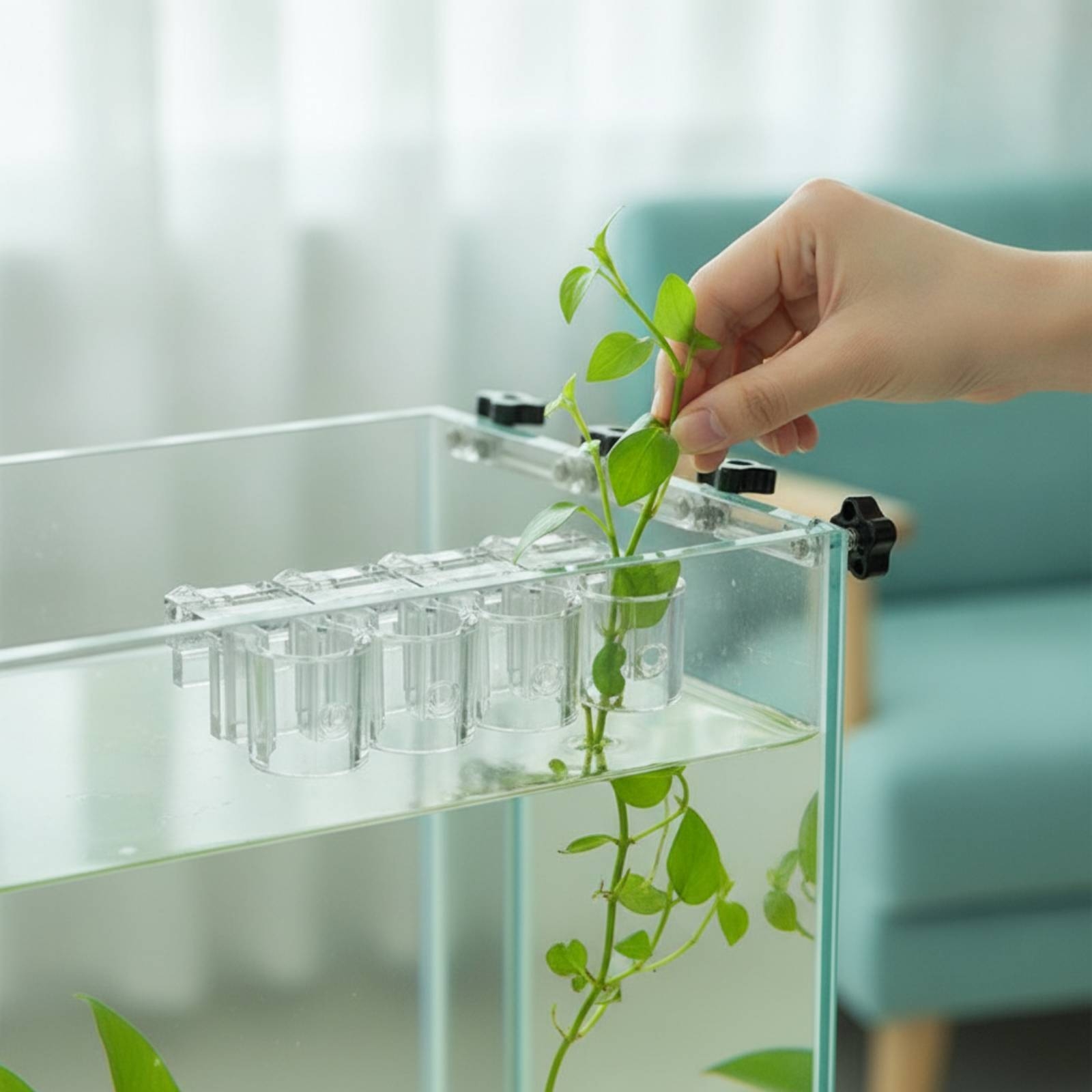 คลิปหนีบกระถางปลูกพืชน้ำแบบใส  - Aquarium Planted Aquarium บทวิจารณ์และราคา