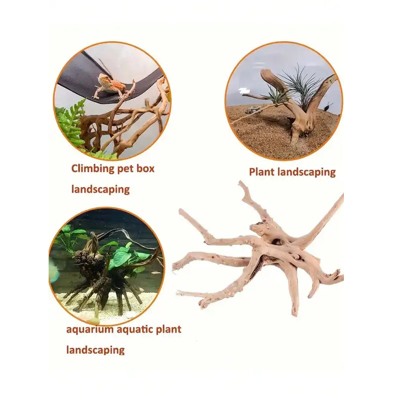 ไม้ลอยน้ำธรรมชาติสำหรับตกแต่งต - Aquarium Planted Tree บทวิจารณ์และราคา