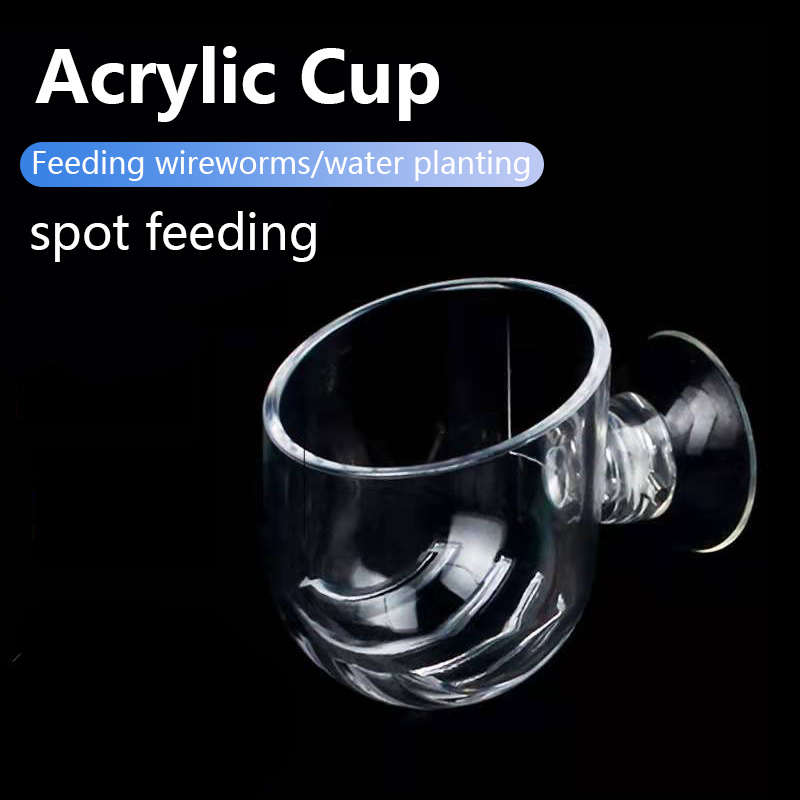 ถ้วยปลูกต้นไม้น้ำสำหรับตกแต่งต - Aquarium Plant Utensils บทวิจารณ์และราคา