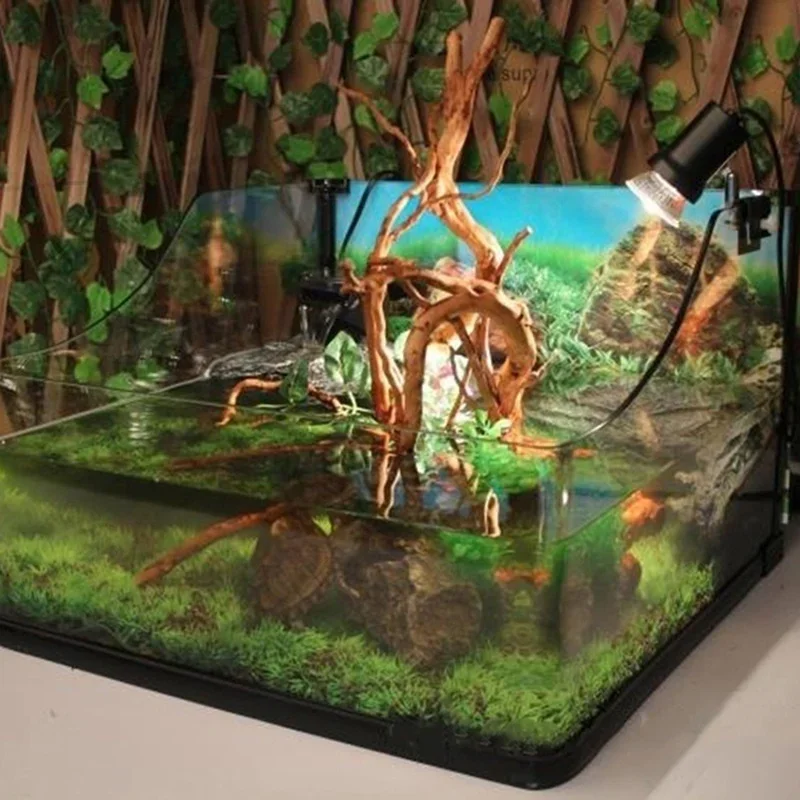 ต้นไม้ธรรมชาติลำต้นไม้ดริฟท์วู - Aquarium Planted Tree บทวิจารณ์และราคา
