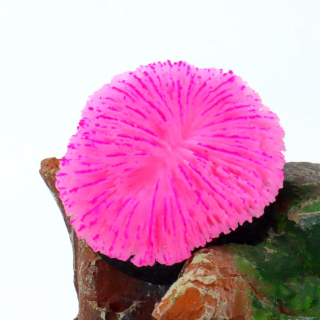 1 ชิ้น ของตกแต่งตู้ปลา ปะการัง - Aquarium Planet บทวิจารณ์และราคา