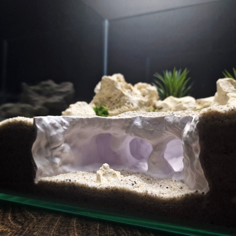ของตกแต่งตู้ปลาแบบถ้ำแฉกพิมพ์  - Aquarium Planet บทวิจารณ์และราคา