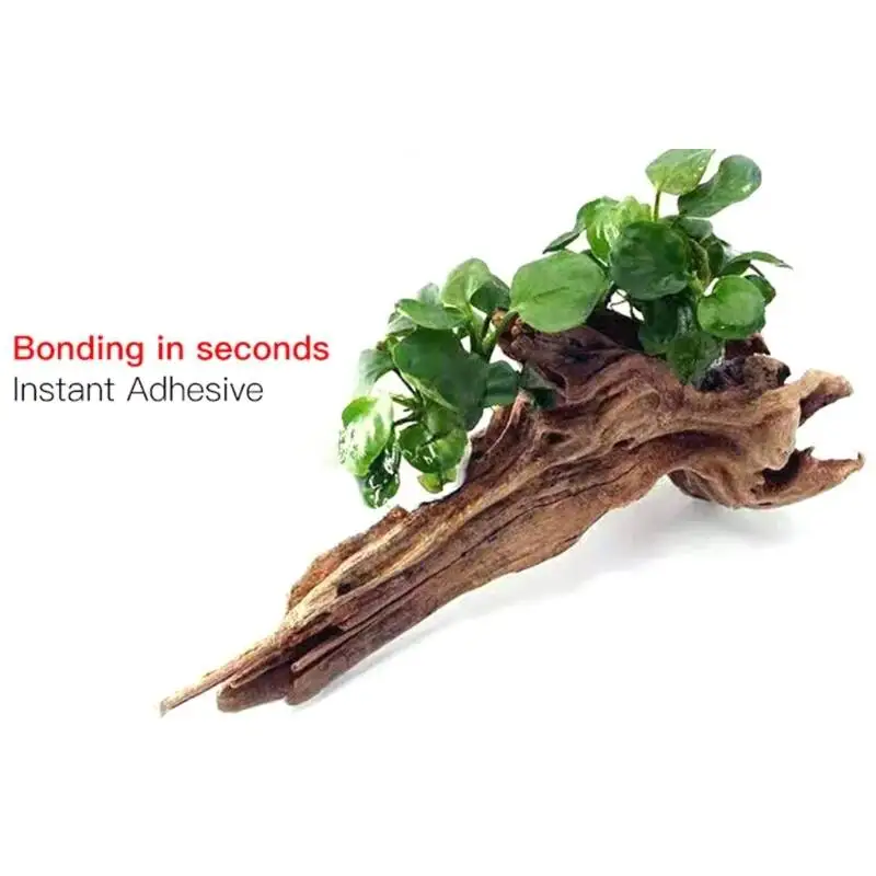 กาวใสสำหรับติดมอสส์และปะการัง  - Aquarium Planted Fish บทวิจารณ์และราคา