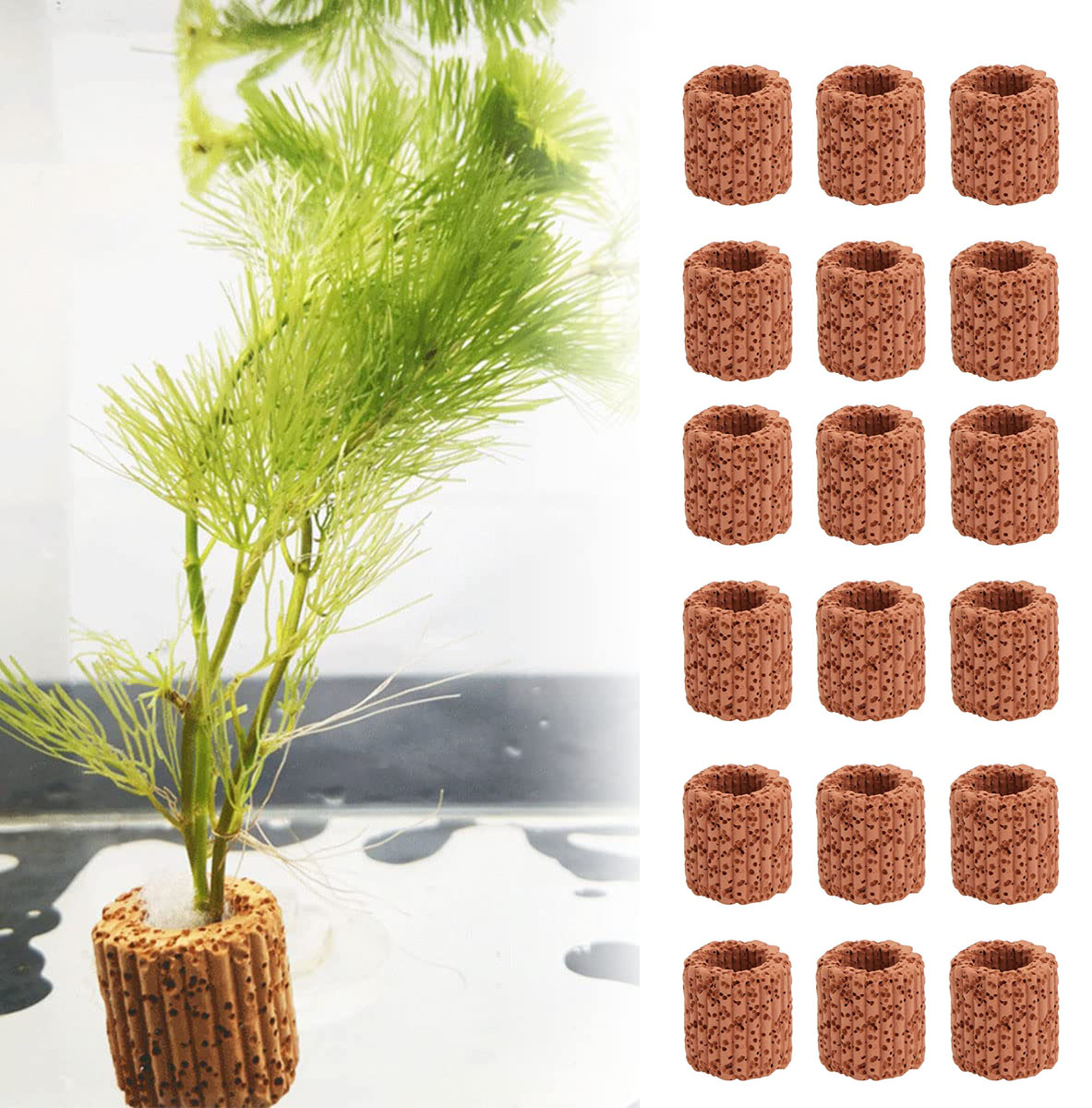 ของตกแต่งตู้ปลาแหวนกระถางต้นไม - Aquarium Planet บทวิจารณ์และราคา
