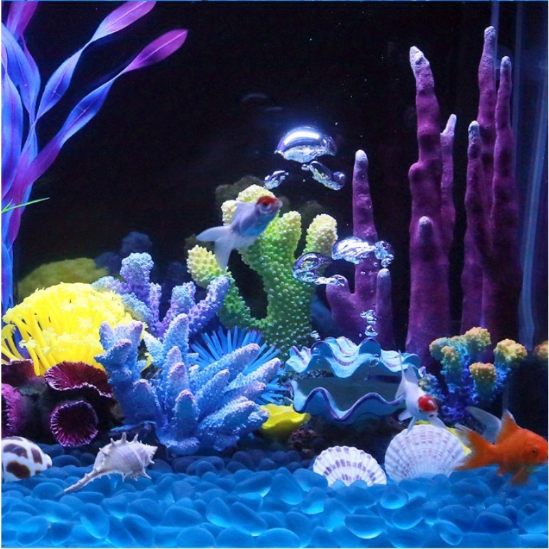 หินตกแต่งตู้ปลา ลูกปัดแก้วสีฟ้ - Aquarium Planet บทวิจารณ์และราคา