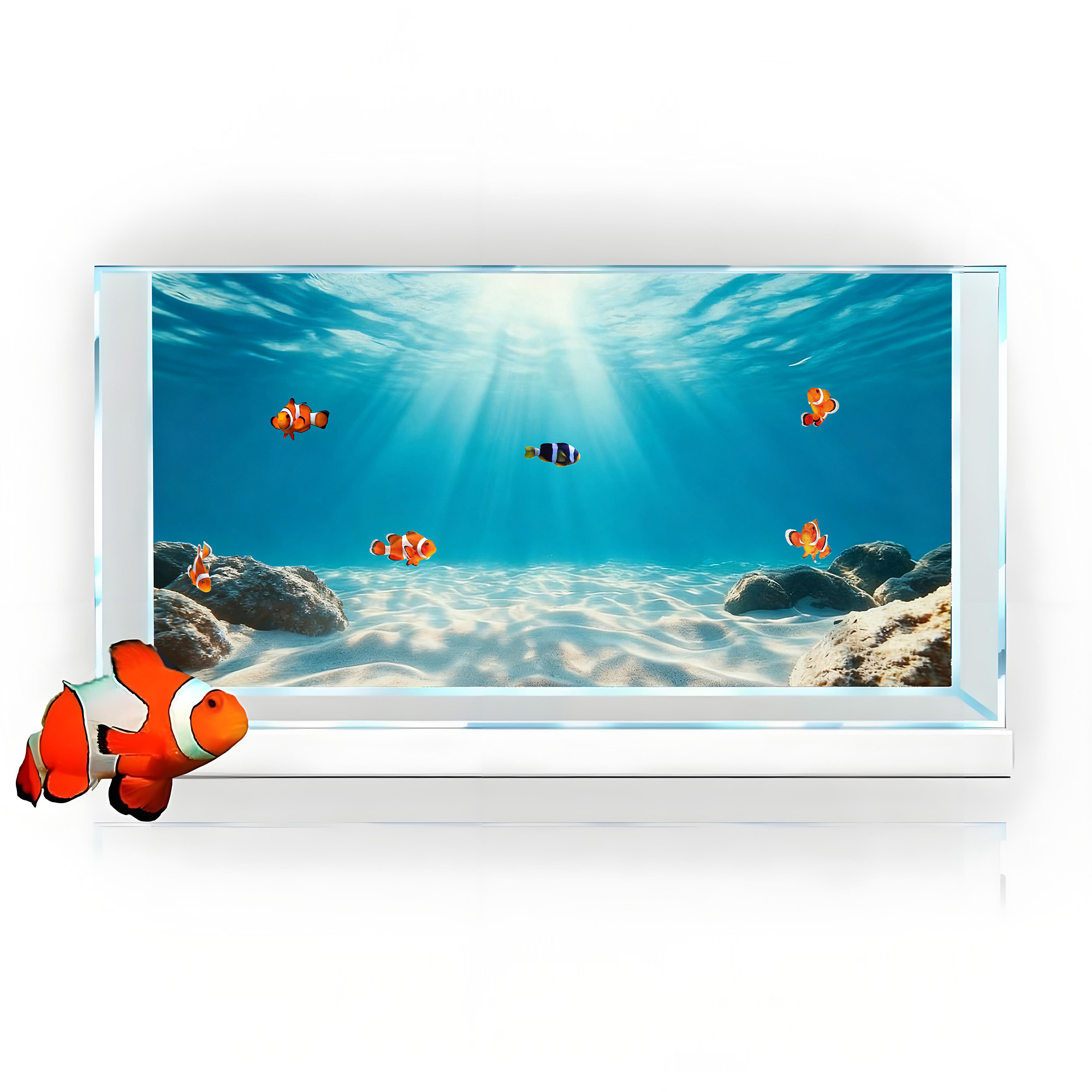 ทรายสีฟ้าใส ภาพวาดพื้นหลังตู้ป - Aquarium Planet บทวิจารณ์และราคา