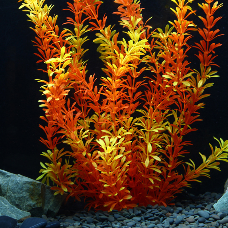 ต้นไม้เขตร้อนขนาด 100 ซม. หญ้า - Aquarium Planted Tree บทวิจารณ์และราคา