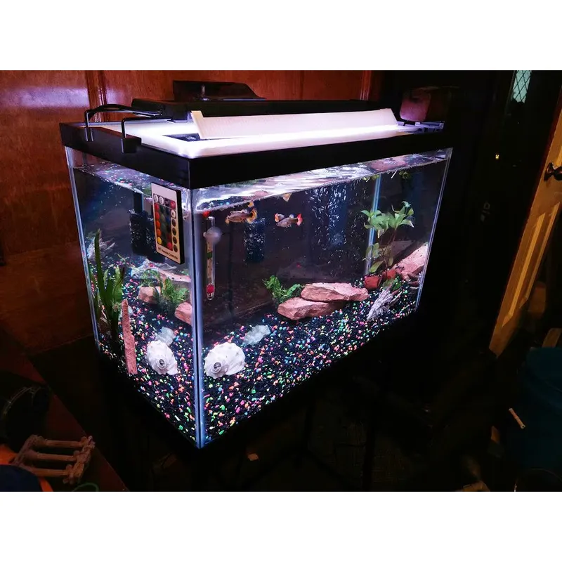 GAKO รุ่น 11W ZJL-60A ไฟ LED ส - Planted Aquarium Models บทวิจารณ์และราคา