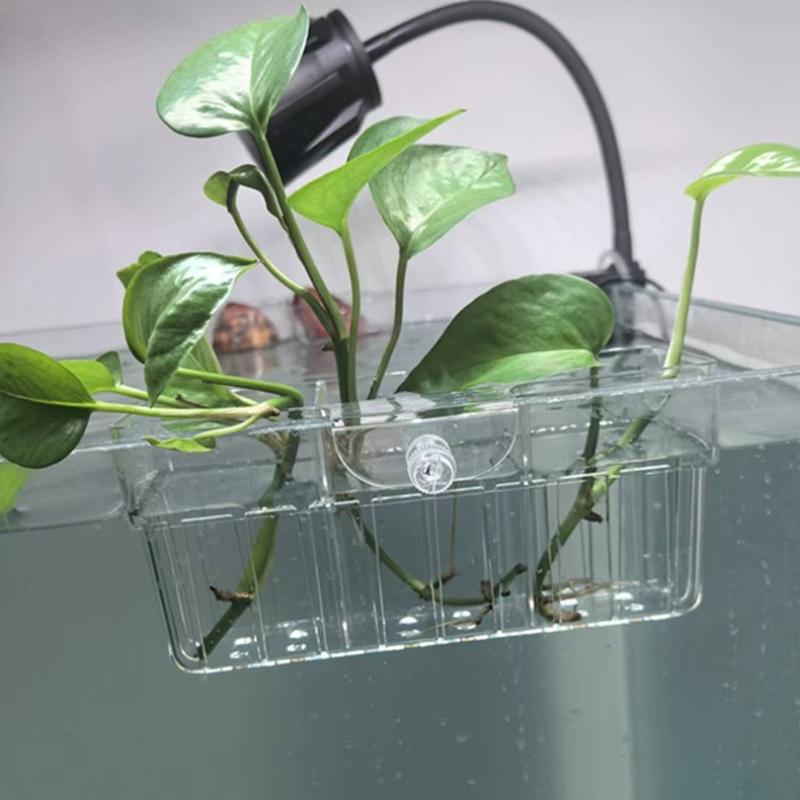 ตะกร้าปลูกพืชไฮโดรโพนิก เกรดอา - Aquarium Planted Aquarium บทวิจารณ์และราคา