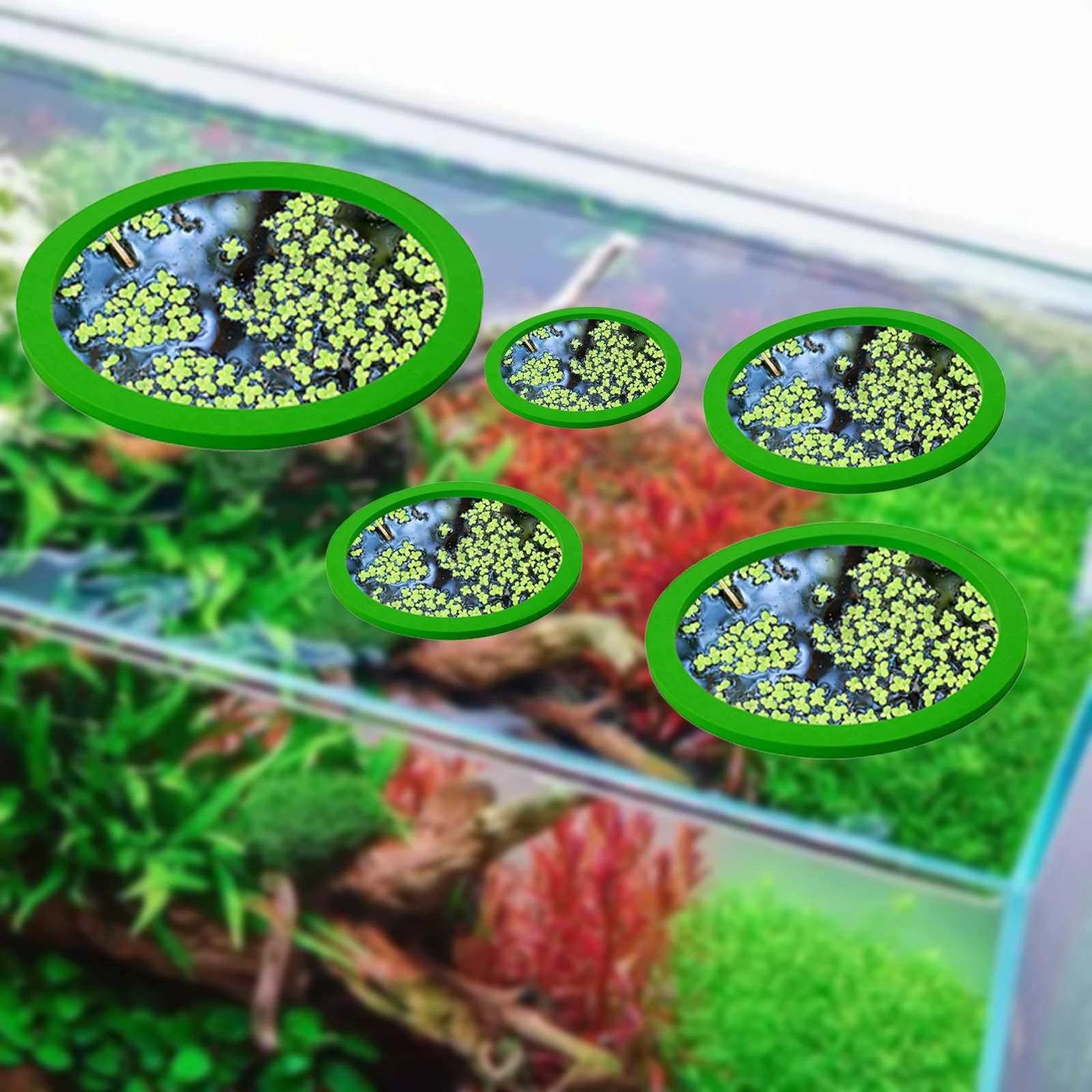 5 ชิ้น EVA ปลา Feeding แหวน Aq - Aquarium Plant บทวิจารณ์และราคา