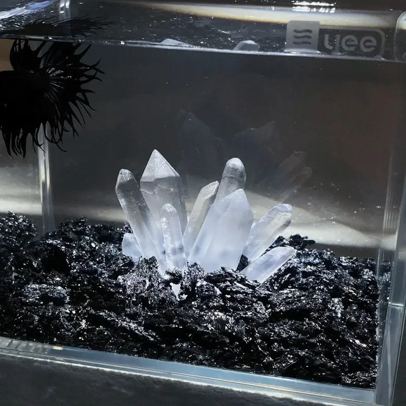 Creative Betta TANK Decor คริส - Aquarium Planet บทวิจารณ์และราคา