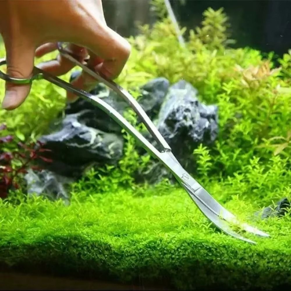 กรรไกรตัดหญ้าในตู้ปลา สแตนเลส  - Aquarium Plant Utensils บทวิจารณ์และราคา