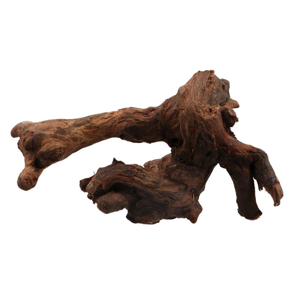 ไม้ปะการังรูปทรงแปลกตา ไม้ธรรม - Aquarium Planted Tree บทวิจารณ์และราคา