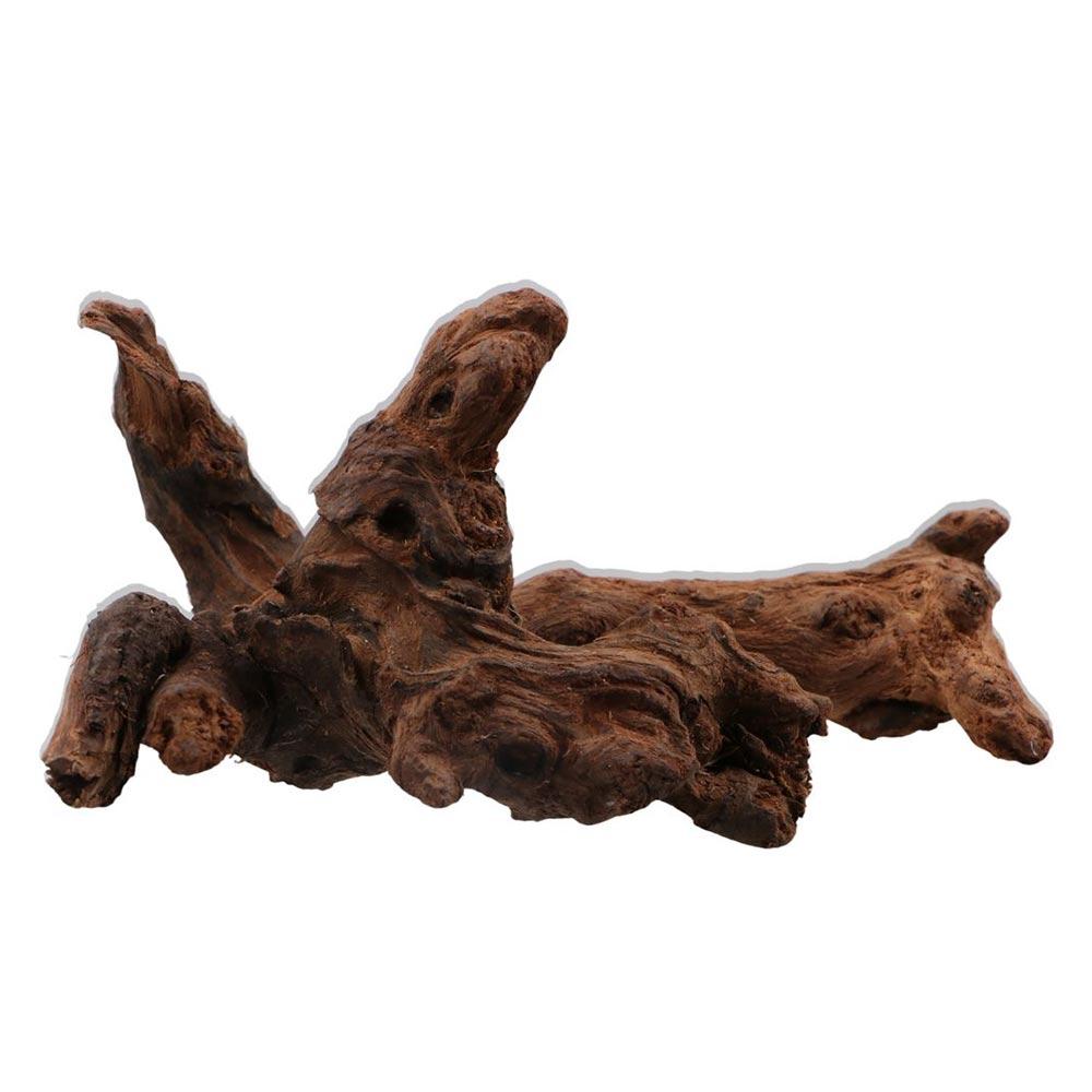 ไม้ปะการังรูปทรงแปลกตา ไม้ธรรม - Aquarium Planted Tree บทวิจารณ์และราคา