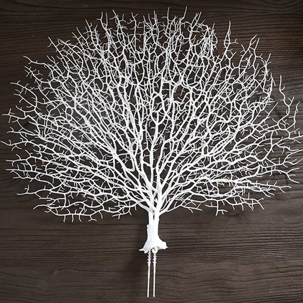 ของขวัญวันวาเลนไทน์ ตู้ปลา พลา - Aquarium Planted Tree บทวิจารณ์และราคา