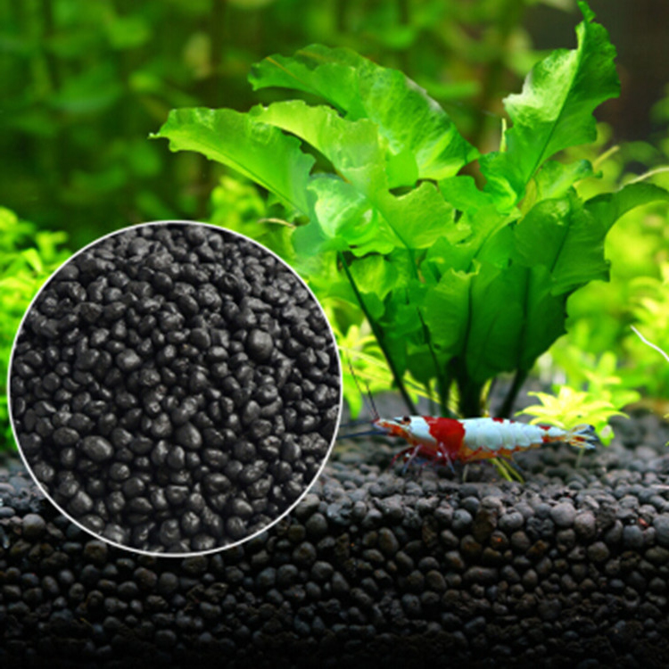 พิพิธภัณฑ์สัตว์น้ำเมล็ดพืชดิน  - Aquarium Planted Fish บทวิจารณ์และราคา