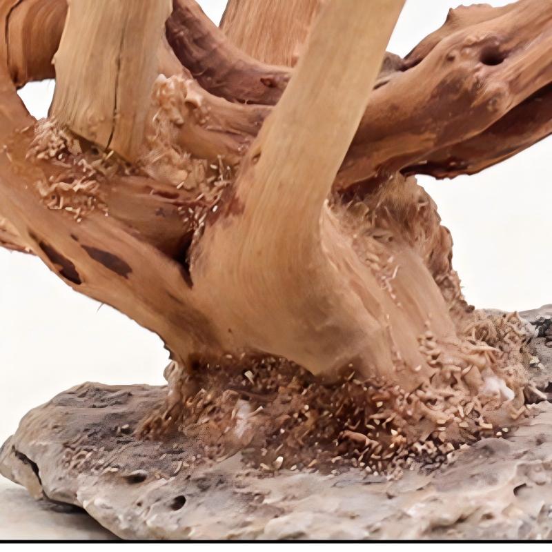 1PC Aquarium ภูมิทัศน์เครื่องป - Aquarium Planted Tree บทวิจารณ์และราคา
