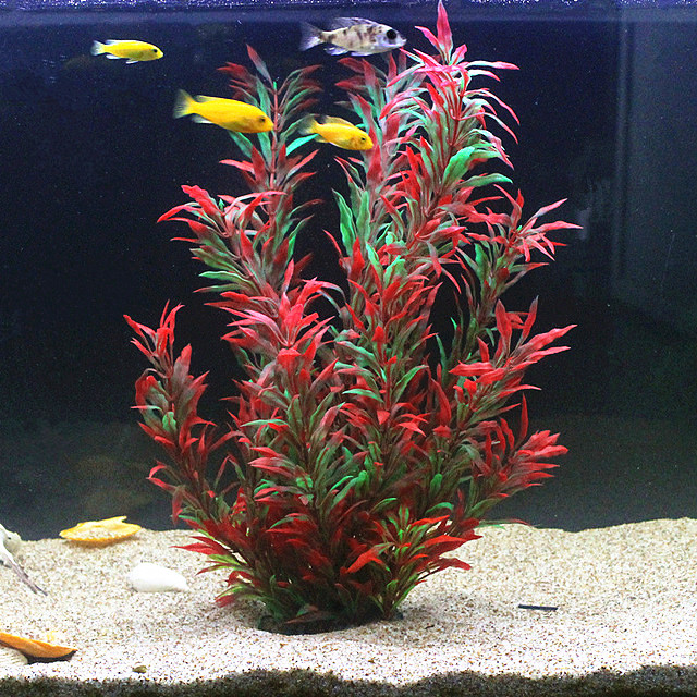 50 ซม.ถังปลาประดิษฐ์พืชหายากAq - Aquarium Planted Fish บทวิจารณ์และราคา