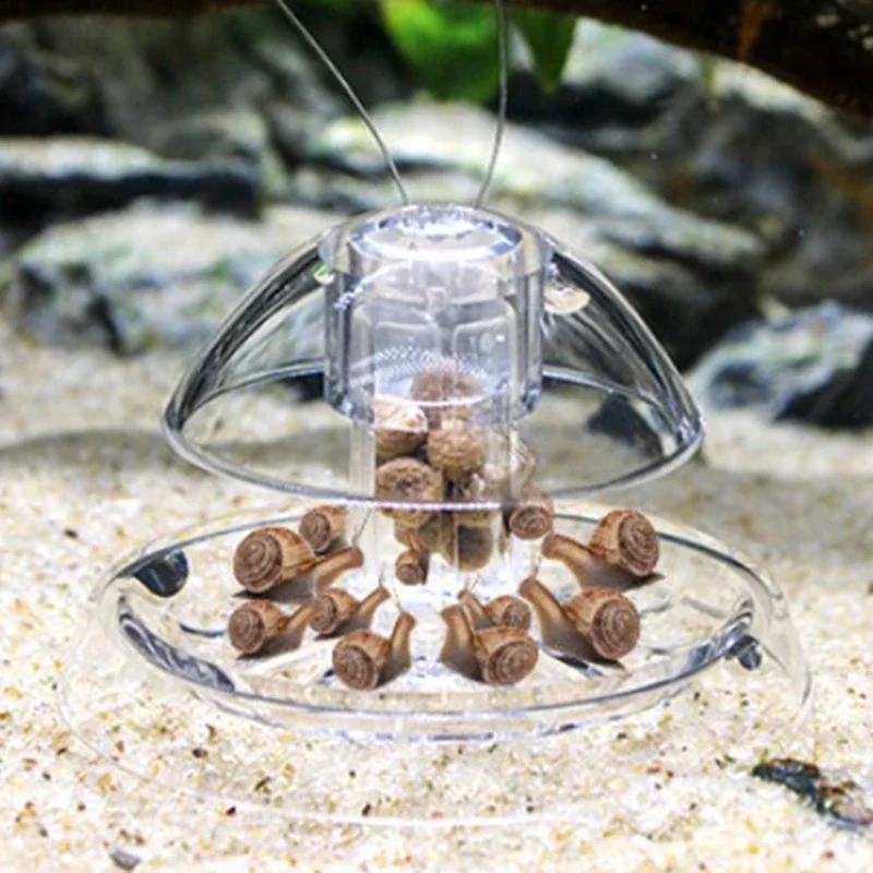 เครื่องมือดักจับหอยทากในตู้ปลา - Aquarium Plant Utensils บทวิจารณ์และราคา