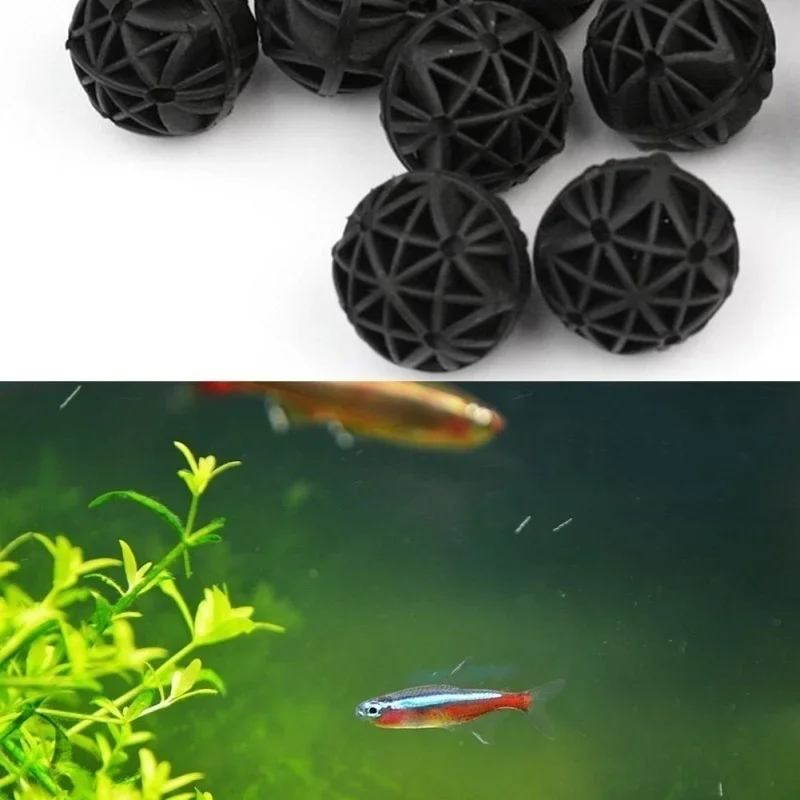 ไส้กรองชีวภาพสำหรับตู้ปลา ขนาด - Aquarium Planted Fish บทวิจารณ์และราคา