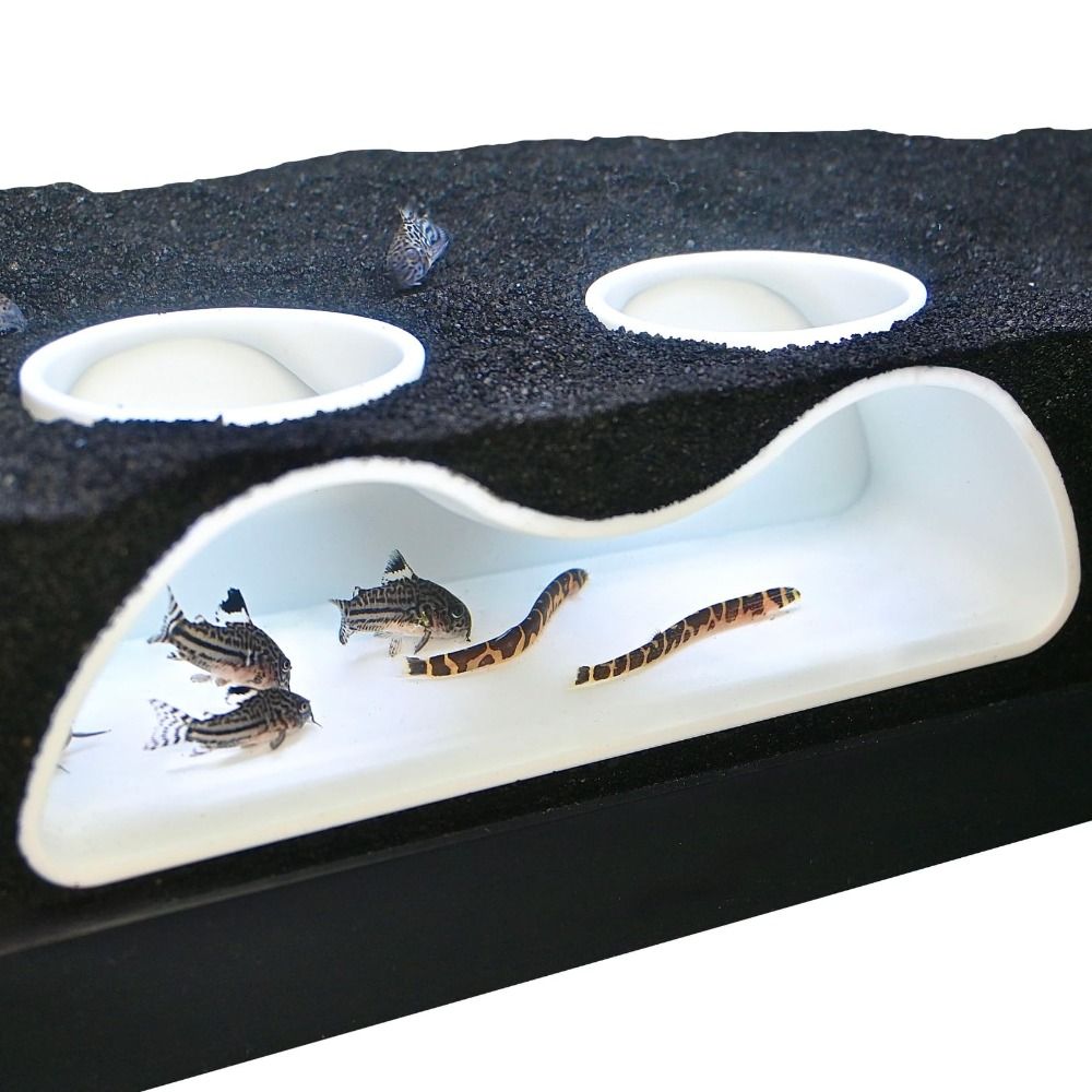 Multifunctional Aquarium อุโมง - Aquarium Planet บทวิจารณ์และราคา
