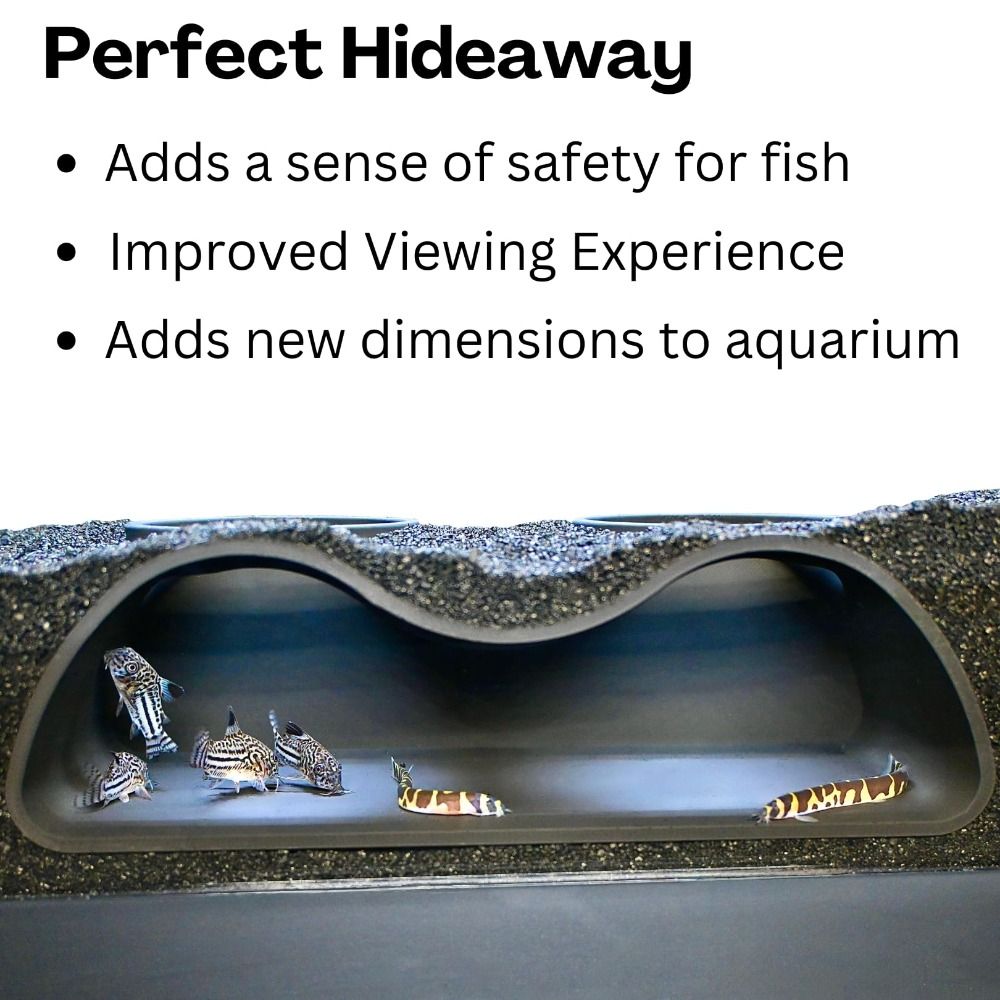 Multifunctional Aquarium อุโมง - Aquarium Planet บทวิจารณ์และราคา